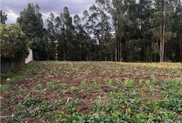 Terreno Comercial en  Valle, Cuenca