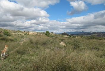 Terreno en  Novelda, Alicante Provincia