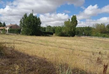 Terreno en  Villoldo, Palencia Provincia