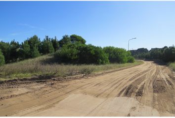 Terrenos en  Otro, Pinamar