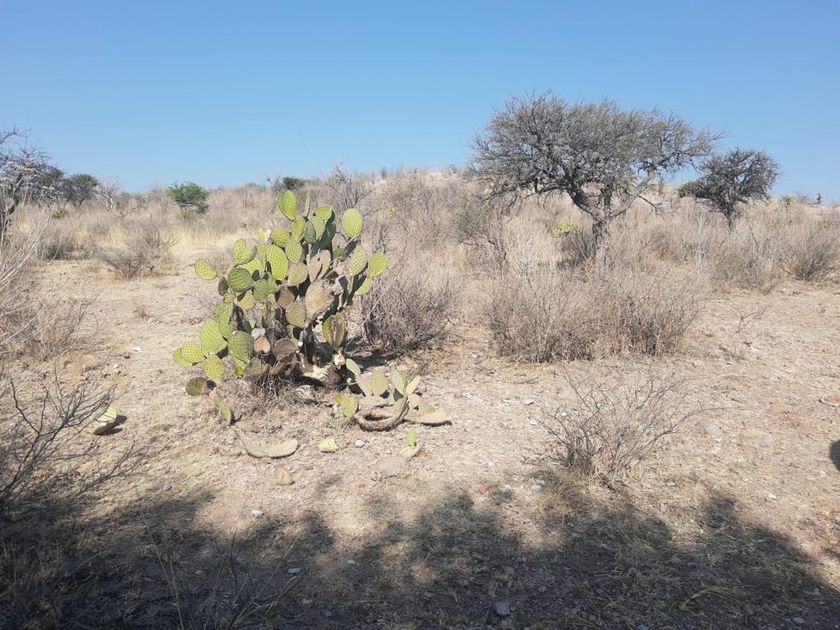 venta Lote de Terreno en Los Arquitos, Aguascalientes (44662) icasas.mx