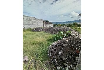 Lote de Terreno en  Miguel Hidalgo, Morelos