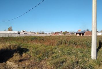 Casa en  La Sofía, Partido De Carlos Casares