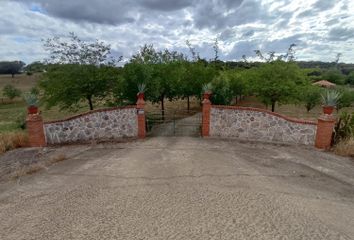 Terreno en  Malpartida De Plasencia, Cáceres Provincia