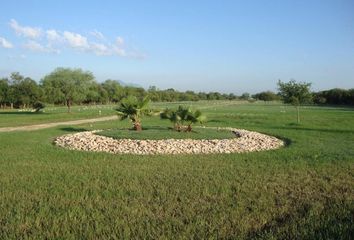 Lote de Terreno en  Montemorelos Centro, Montemorelos