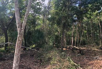 Lote de Terreno en  Calle Tulum, Supmz 1, Puerto Morelos, Quintana Roo, 77580, Mex