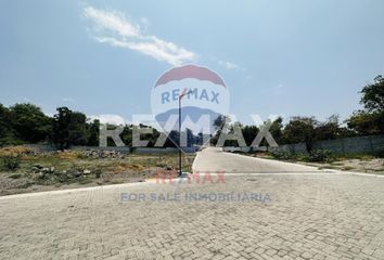 Lote de Terreno en  Yautepec Centro, Yautepec De Zaragoza