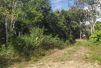 Lote de Terreno en  Coba, Tulum