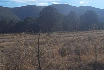 Lote de Terreno en  La Joya, Arteaga, Arteaga, Coahuila