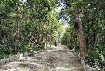 Lote de Terreno en  Chemuyil, Tulum