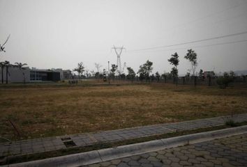 Lote de Terreno en  Ocoyucan, Puebla, Mex