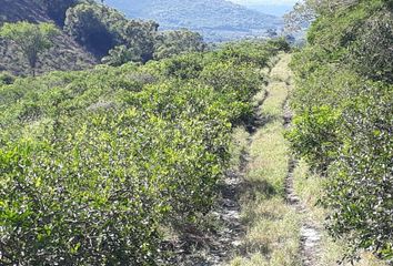 Lote de Terreno en  Hueypoxtla, Estado De México