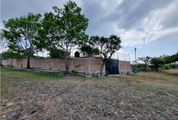 Lote de Terreno en  Camino Real, Sahuayo De Morelos