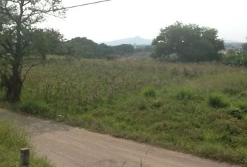 Lote de Terreno en  Pueblo Viejo, Morelos