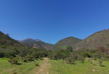 Parcela en  Quillota, Quillota