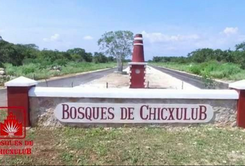 Lote de Terreno en  Chicxulub Pueblo, Yucatán