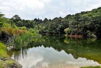 Lote de Terreno en  Rincón Villa Del Valle, Valle De Bravo, México, Mex