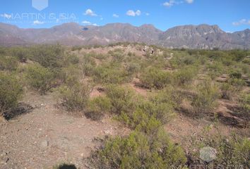 Terrenos en  Tinogasta, Catamarca