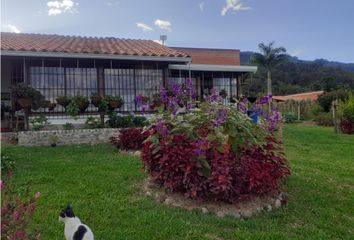 Villa-Quinta en  Centro Poblado, Calima