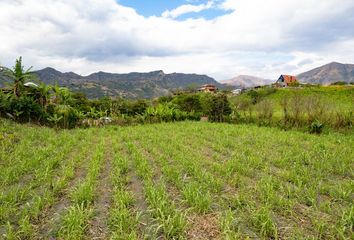 Terreno Comercial en  Loja