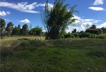 Lote de Terreno en  Rionegro Antioquía