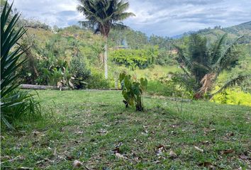 Lote de Terreno en  Salento, Quindío