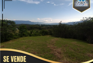 Lote de Terreno en  Carmen De Apicalá, Tolima