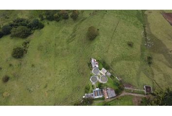 Lote de Terreno en  Las Violetas, Dosquebradas