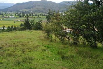 Villa-Quinta en  Tibasosa, Boyacá