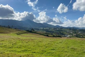 Terreno Comercial en  Simón Bolívar 585, Loja, Ecuador