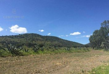 Lote de Terreno en  Tepetlaoxtoc, Estado De México