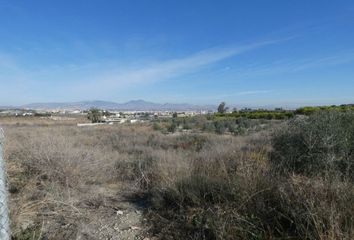 Chalet en  Ceuti, Murcia Provincia