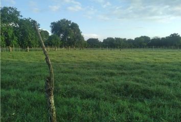 Lote de Terreno en  La Castellana, Montería