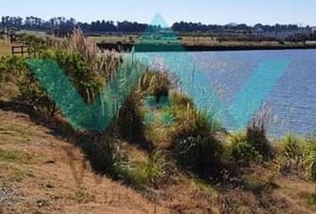 Terrenos en  Los Juncos, Partido De Luján