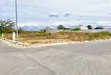 Lote de Terreno en  Fénix, Municipio De Campeche