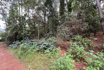 Lote de Terreno en  Valle De Bravo, México, Mex