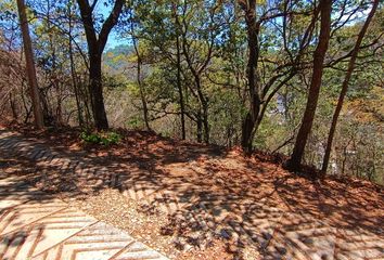 Lote de Terreno en  Puente San Nicolás, Rancho San Nicolás, San Cristóbal De Las Casas, Chiapas, 29254, Mex