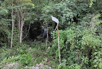 Lote de Terreno en  Coba, Tulum