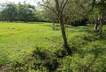 Lote de Terreno en  Las Heliconias De Pance, Pance Cabecera, Cali, Valle Del Cauca, Col