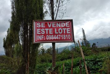 Terreno Comercial en  Miguel Oviedo 452, Ibarra, Ecuador