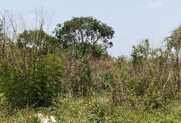 Lote de Terreno en  Mex-178, Baca, Yucatán, Mex