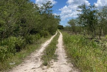 Lote de Terreno en  Tekax, Yucatán, Mex