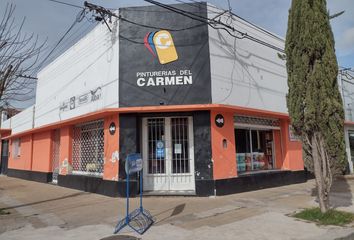 Locales en  Carmen De Areco, Partido De Carmen De Areco