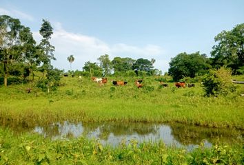 Casa en  San Vicente, Misiones