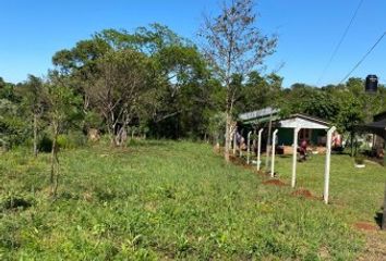 Terrenos en  San Vicente, Misiones