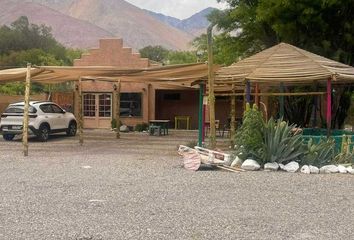 Parcela en  Paiguano, Elqui