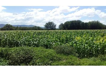 Lote de Terreno en  San Carlos, Santiago Tulantepec, Santiago Tulantepec De Lugo Guerrero