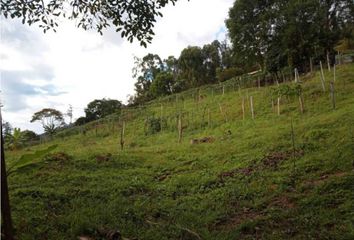 Lote de Terreno en  San Bernardo Cundinamarca, Cundinamarca