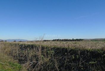 Terreno en  Talamanca Del Jarama, Madrid Provincia