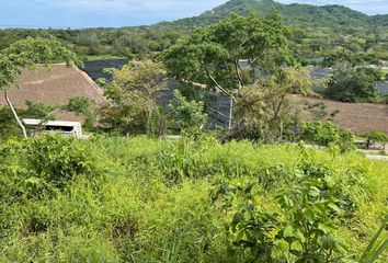 Lote de Terreno en  Mex-200, Úrsulo Galván, Compostela, Nayarit, 63724, Mex